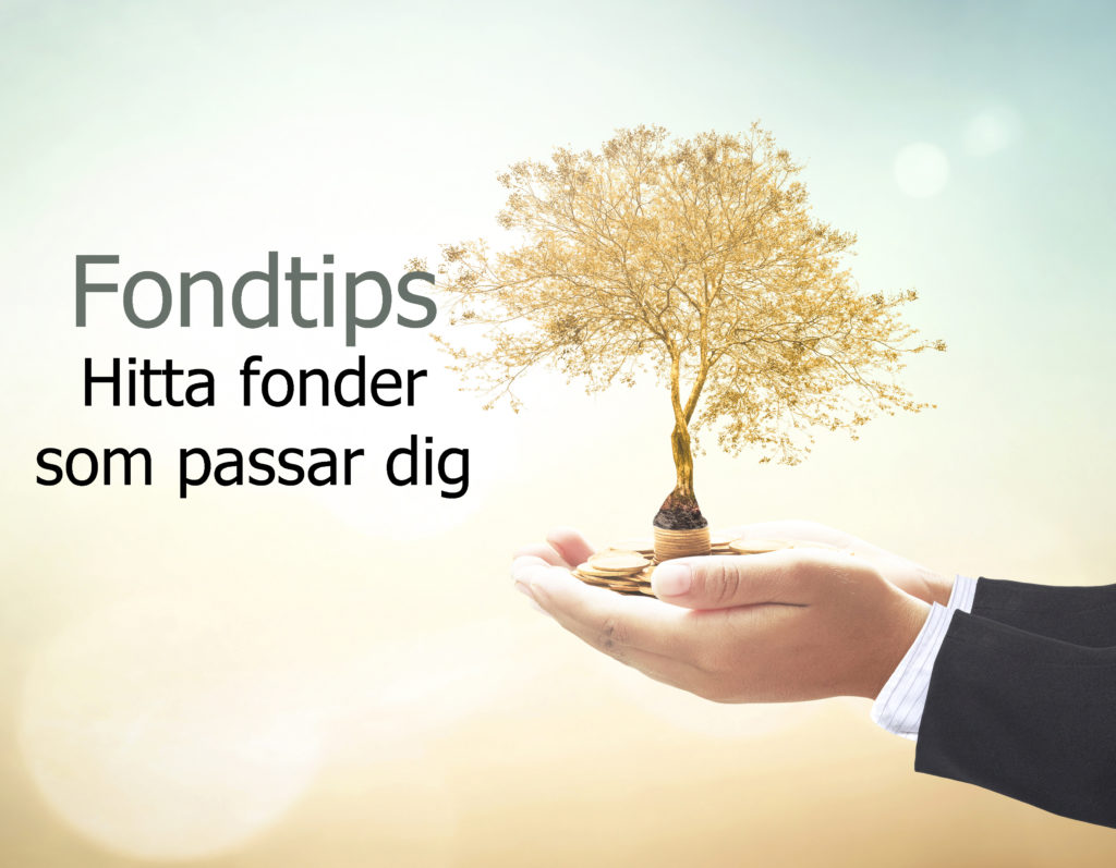 fondtips: Hitta fonder som passar dig