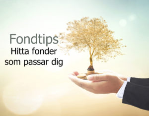 fondtips: Hitta fonder som passar dig